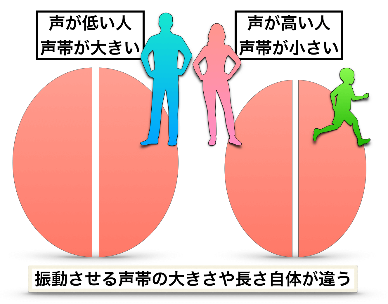 女声の出し方についての研究