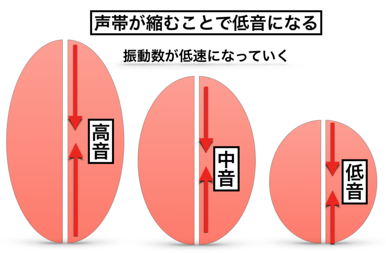 地声の高音域を広げる方法【結局、地道なトレーニングが一番いい】 地声の高音域を広げる方法【結局、地道なトレーニングが一番いい】