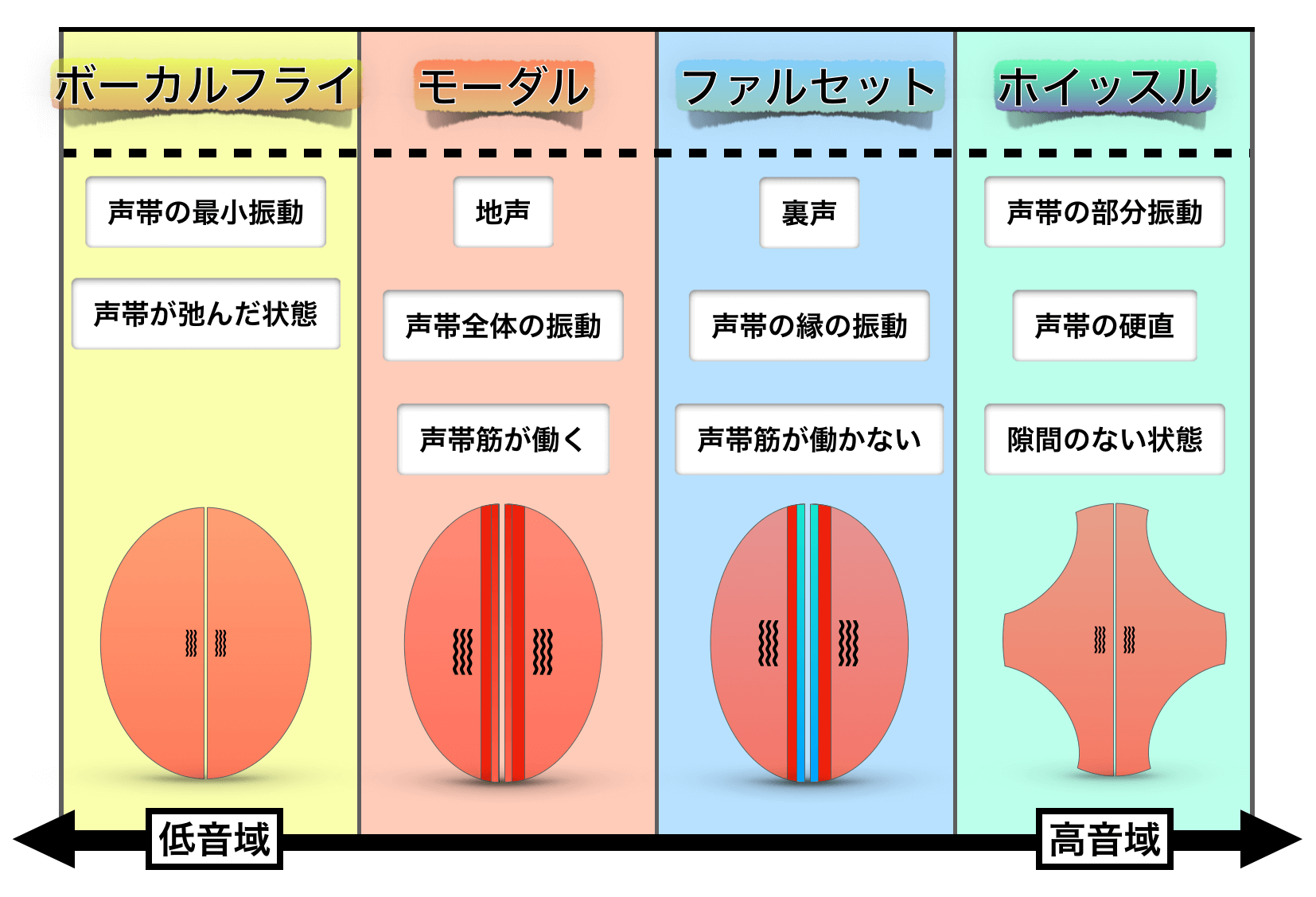 ミックスボイスとは についての研究 考察 そもそも存在するのか