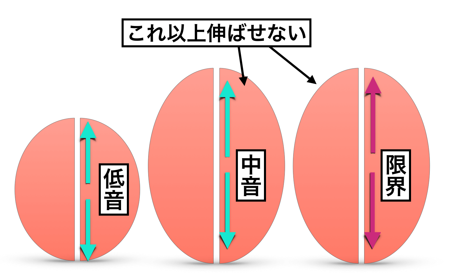 甲高い 声