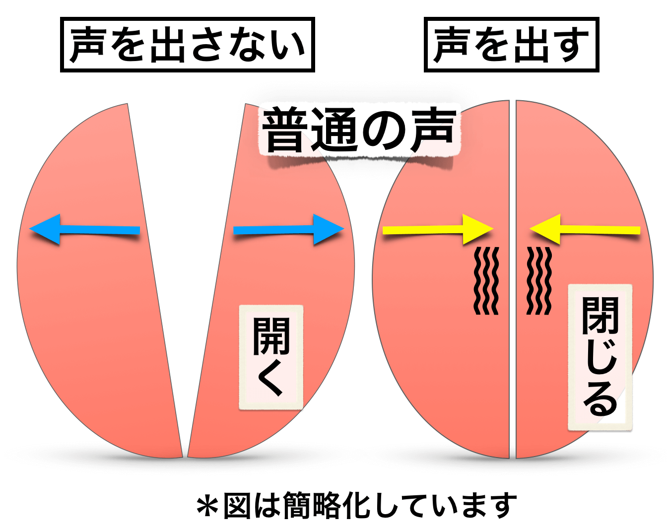 ハスキー ボイス と は