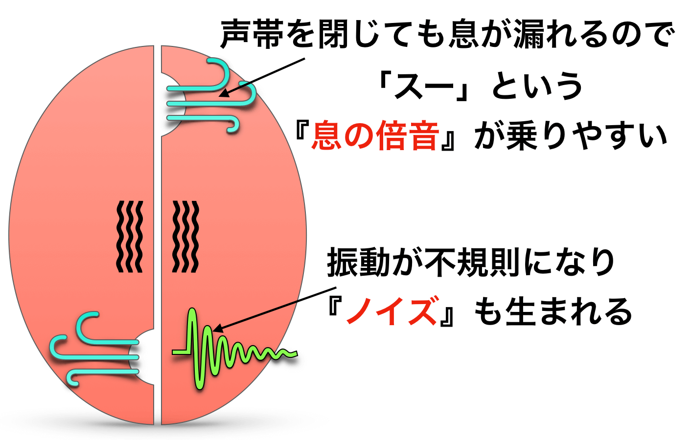 ハスキー ボイス に する 方法