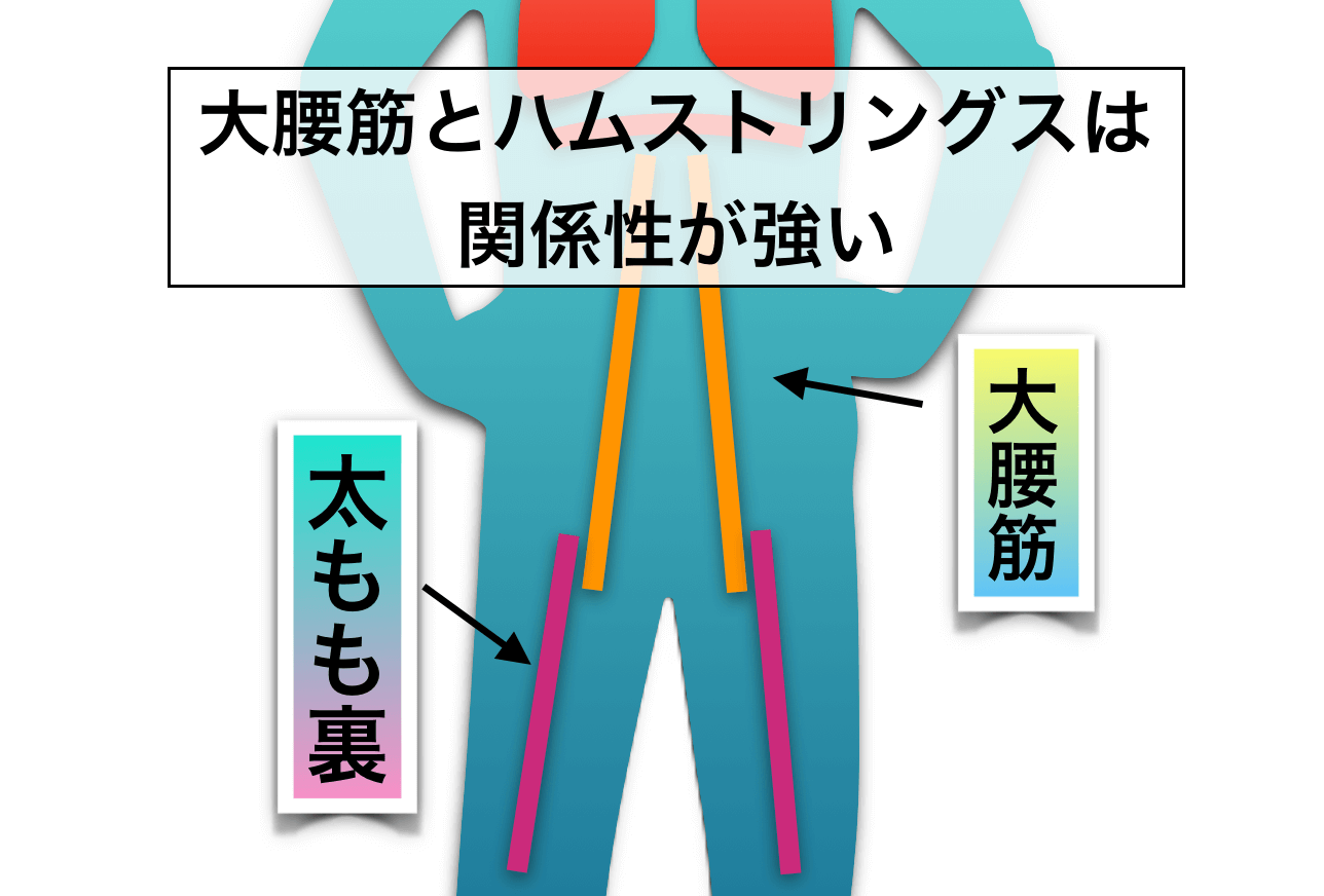 大腰筋とハムストリングス