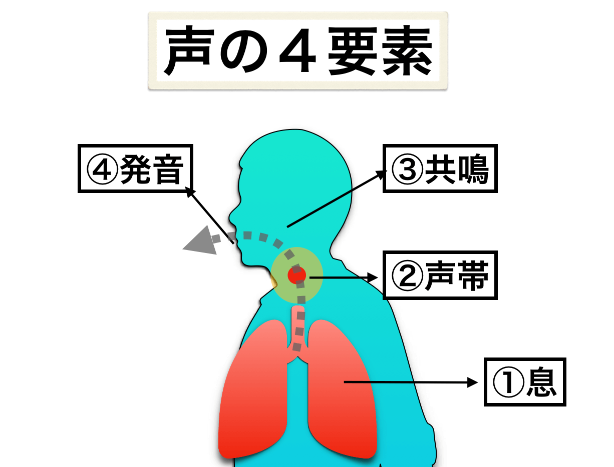 声の４要素